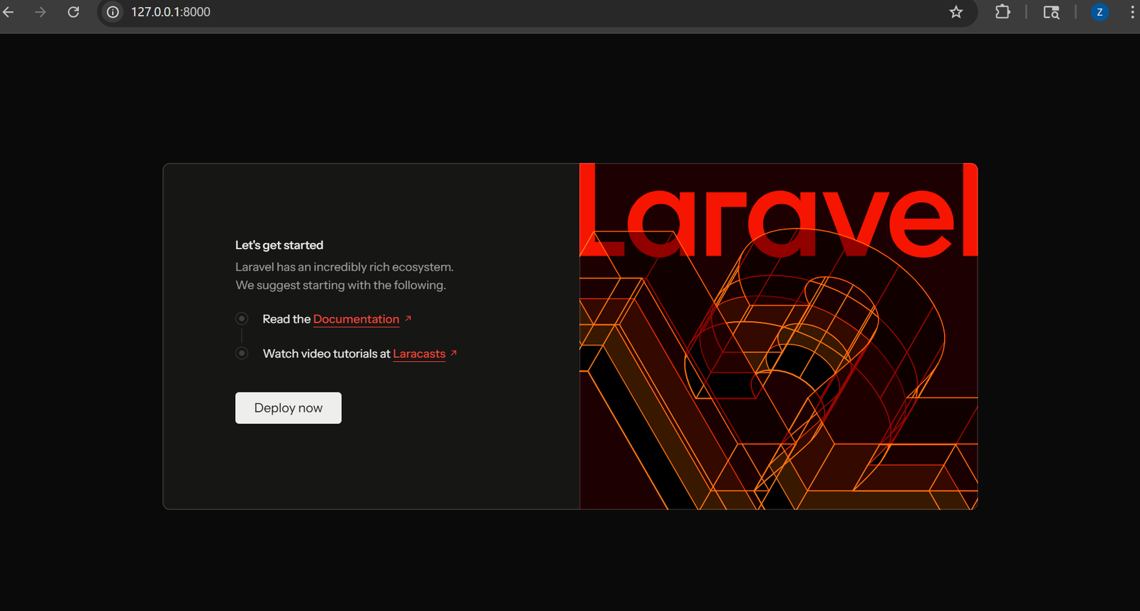 Tampilan project Laravel